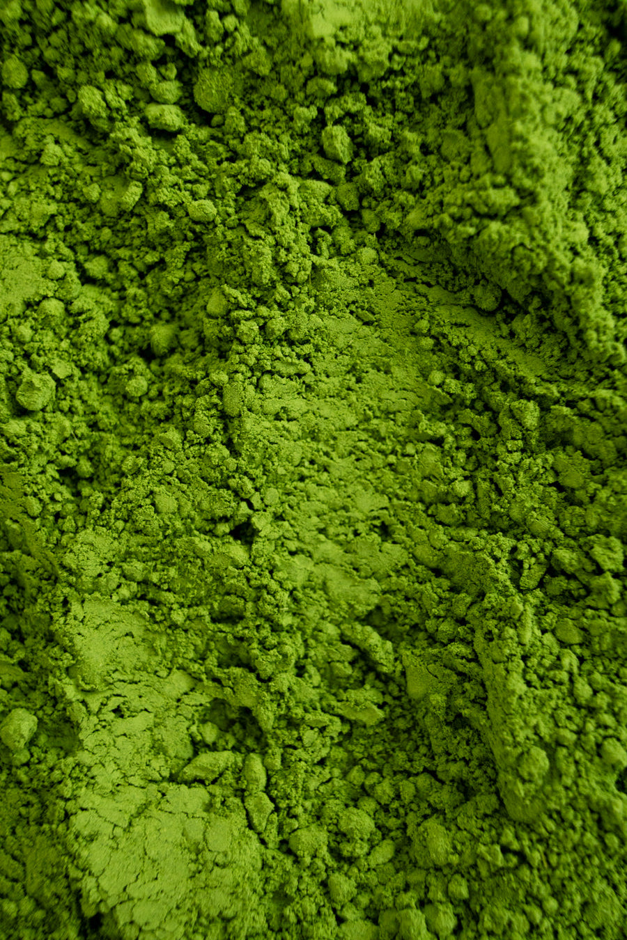 Premium Okumidori Matcha – Refill Pouch 30 g