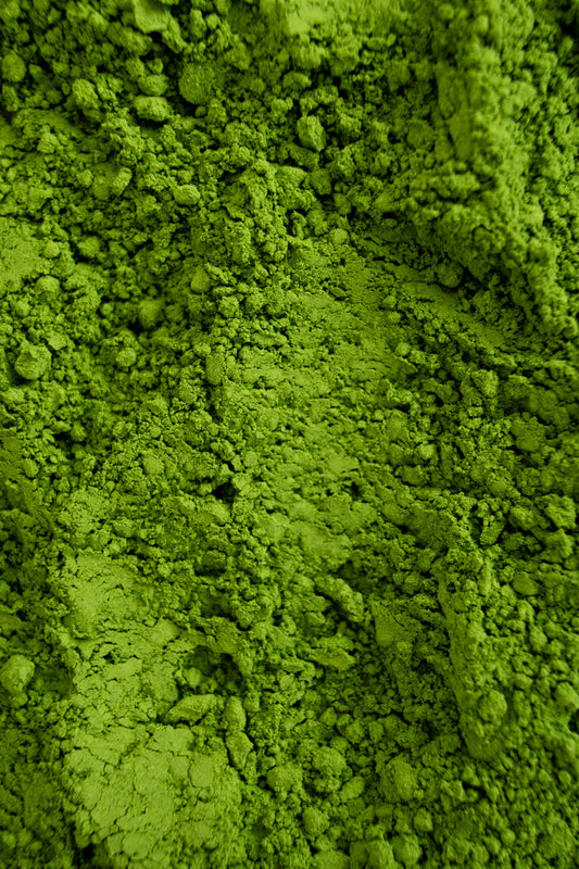 Premium Okumidori Matcha – Refill Pouch 30 g
